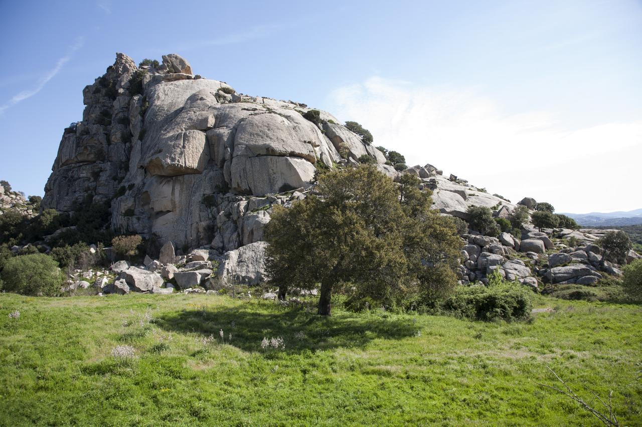Locanda Li Manni Aggius Dış mekan fotoğraf