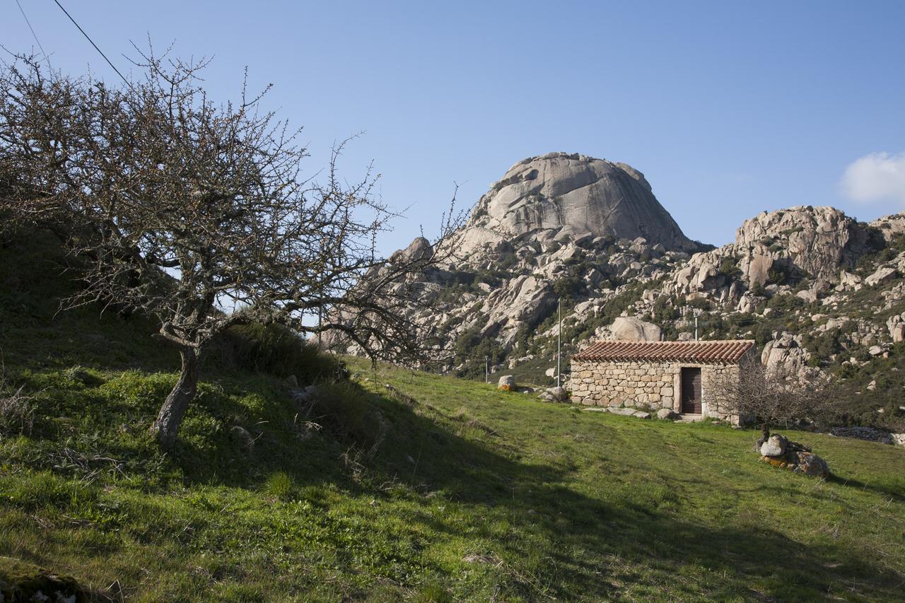 Locanda Li Manni Aggius Dış mekan fotoğraf