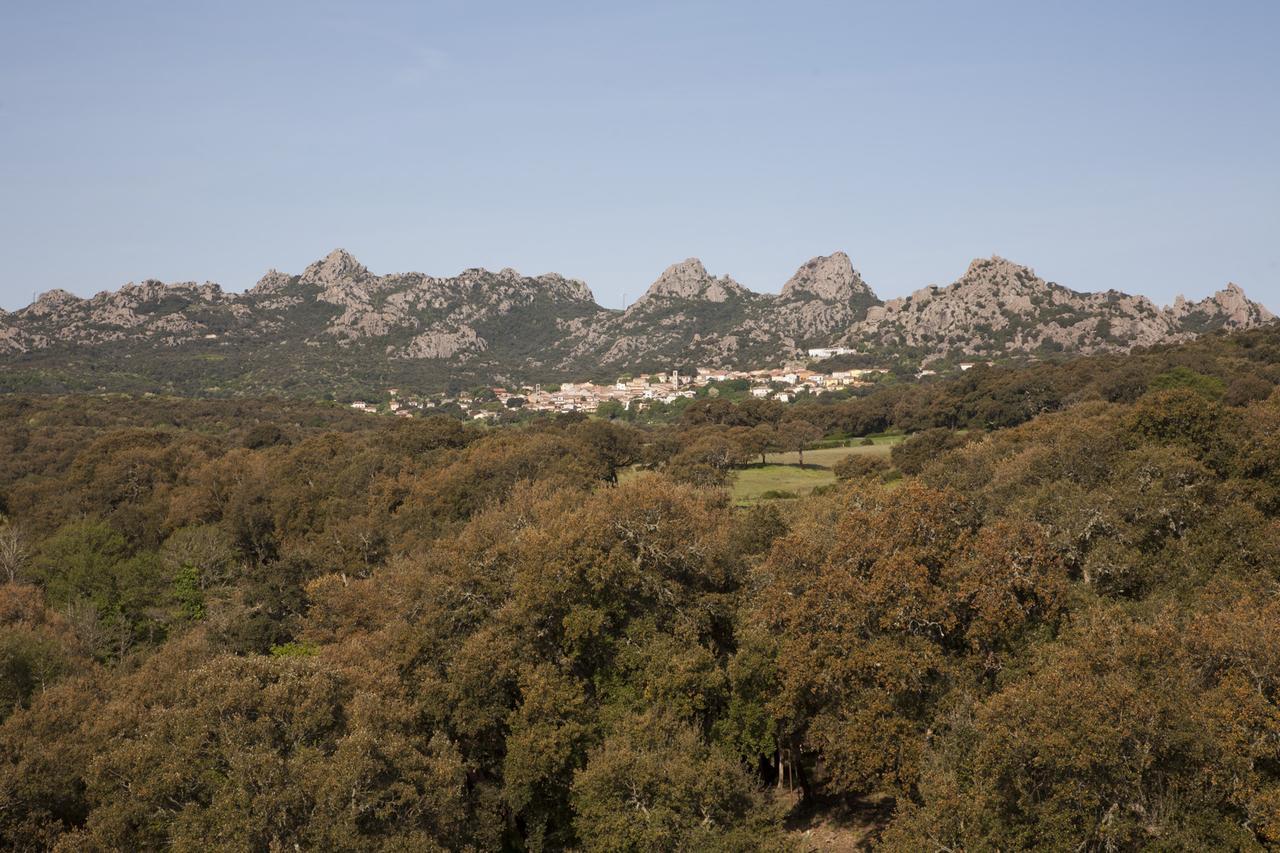 Locanda Li Manni Aggius Dış mekan fotoğraf